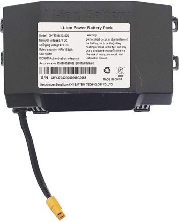 Hoverboard Replacement Battery